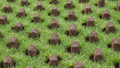 Close-up of soil core plugs after lawn aeration by Chop Chop Landscaping in Highland Park, IL