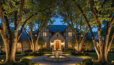 Mature trees with uplighting design by Chop Chop Landscaping in Highland Park, IL enhancing nighttime appeal